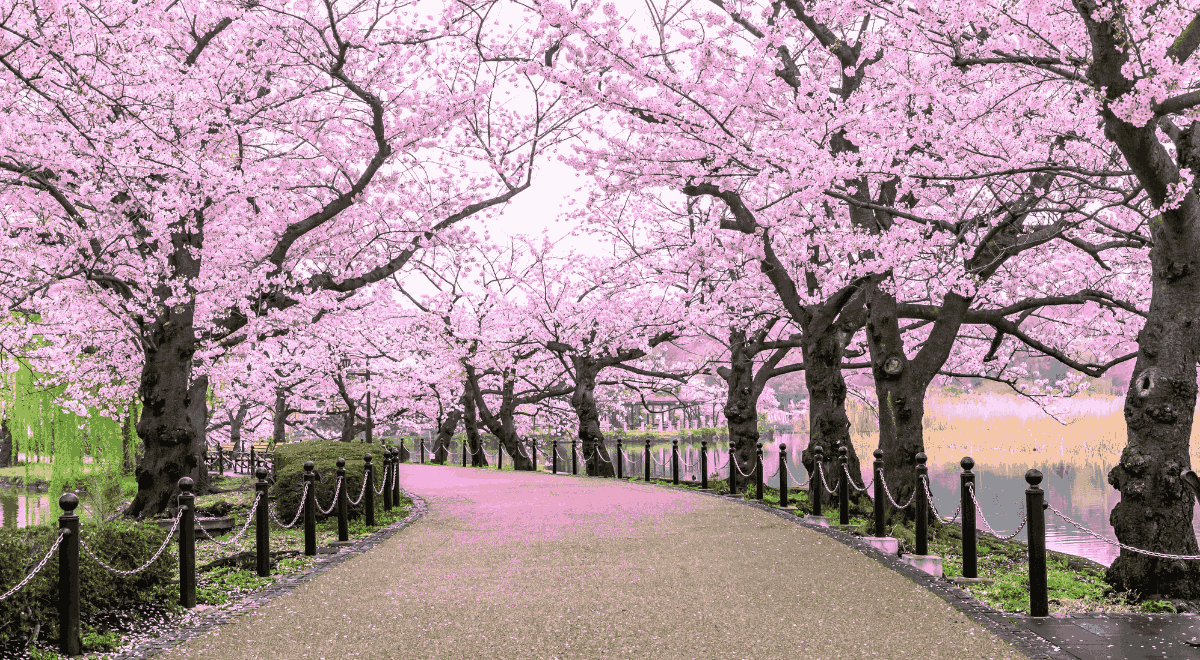 Best Places To Visit In Spring